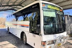 Woodstock Bus Service - Long-standing and reputable business!