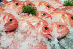 Fresh Seafood Business - Profitable