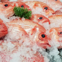 Fresh Seafood Business - Profitable image