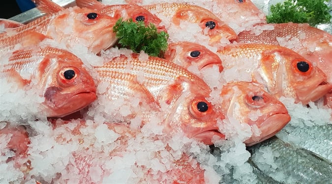 Fresh Seafood Business - Profitable