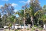 Mingenew Springs Caravan Park
