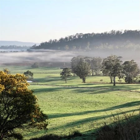 Coming Soon - Unique Tasmanian Property - Wellness/Dining, photo 2