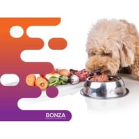 36340 Profitable Raw Pet Food Business - High Demand  image