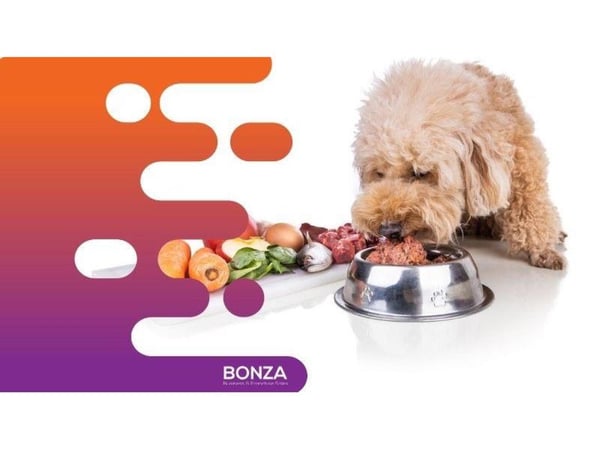 36340 Profitable Raw Pet Food Business - High Demand 