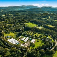 Established Wholesale Nursery with Freehold  Byron Bay Hinterland image
