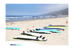 Surf School for Sale! Turn what you love into an income!