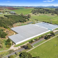 Hydroponic Vegetable Crop Farm - Land, Buildings & Machinery image
