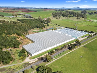 Hydroponic Vegetable Crop Farm - Land, Buildings & Machinery image