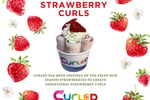 Curled Icecream - Franchise Ready with Strong Profits & Low Overheads