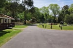 Own an Entire Victorian High Country Township of 34 Freehold Acres