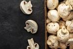 Coming Soon - Indoor Mushroom Farm - Booming Industry