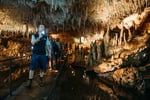 Harvest Tours - Accessible Tourism Business Margaret River