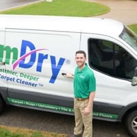 Carpet cleaning business - quick sale - primary image