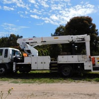 Arboricultural Business: Melbourne image