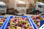 Fruit and Veg Distribution in NSW - Only 3 days PW High Profits