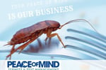 Established Termite & Pest Management Business Flexible, Mobile Operation. WIWO