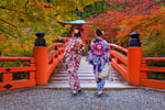 Japan Specialist Travel Agency
