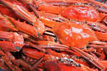 Seafood Distribution - 3 Days Only