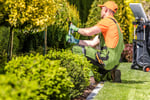 Established Landscaping Business | Net Profit  $304,038  Illawarra Region