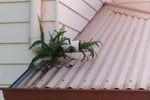 Gutter Knight Franchise For Sale - Residential- Commercial Gutter Protection - Recognised, Reputable, Affordable- Earn up to $800,000pa