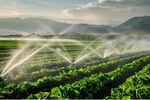 Established Irrigation and Pumping Business.