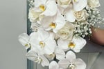 Oakleighs Iconic Florist Nursery Business for Sale SV1585
