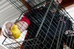 Pest Control is Very High Profit Margins + Low Costs = Great Profits!