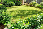 Professional Cleaning and Landscape Maintenance Business in Western Sydney