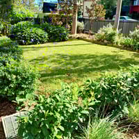 Professional Cleaning and Landscape Maintenance Business in Western Sydney image