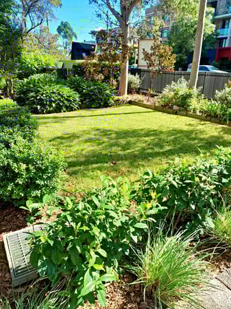 Professional Cleaning and Landscape Maintenance Business in Western Sydney