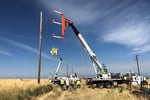 Long Established Electrical & Building Services Group