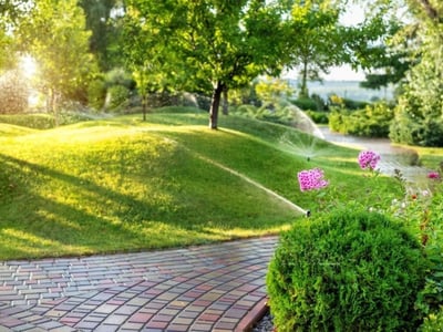Long-Established Lawn/Garden Business: HIGH INCOME! WORK FROM ANYWHERE! image