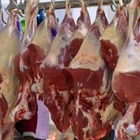 Gold Coast Large-Format Butchery & Food Service Business with Retail Shop For Sale image
