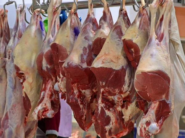 Gold Coast Large-Format Butchery & Food Service Business with Retail Shop For Sale