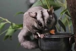 Profitable Pest Control Business for Sale