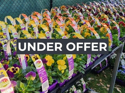 Invest and Grow with Easy Colour Wholesale Nursery image