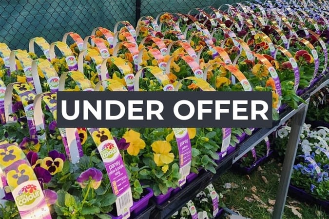 Invest and Grow with Easy Colour Wholesale Nursery