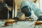 Trusted Building and Pest Inspection Business
