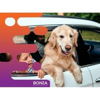 36452 Profitable Online Business - eCommerce in Premium Pet Niche image