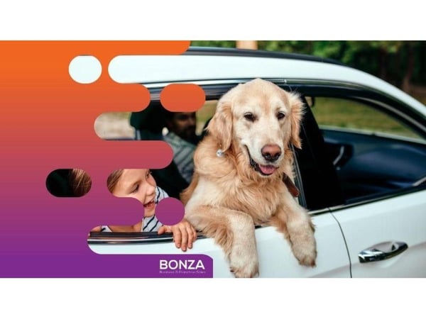 36452 Profitable Online Business - eCommerce in Premium Pet Niche