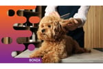 36834 - Dog Grooming, Daycare and Retail Space