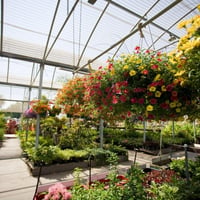 Wholesale & Retail Nursery | Established Perennials Nursery Opportunity | VIC image