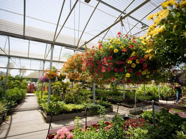 Wholesale & Retail Nursery | Established Perennials Nursery Opportunity | VIC
