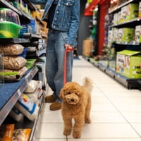 ESTABLISHED PET AND STOCK SUPPLY RETAILER image
