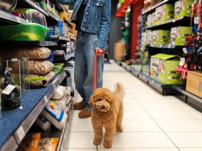 ESTABLISHED PET AND STOCK SUPPLY RETAILER image