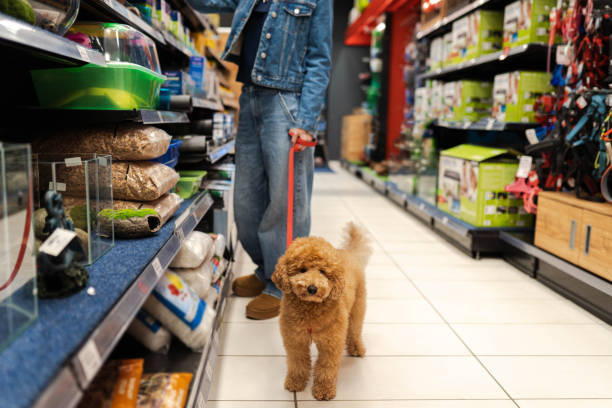 ESTABLISHED PET AND STOCK SUPPLY RETAILER