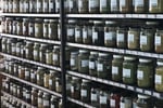 THRIVING ORGANIC SUPERMARKET, HEALTH STORE, APOTHECARY & WELLNESS HUB