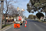 Vegetation Maintenance Municipal Contractor - EBS