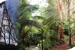 Boutique Accommodation Retreat + Freehold - Dandenong Ranges