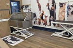 Rewarding Dog Day Care & Grooming Business for Sale - Prime Stanmore, NSW Location - High Foot Traffic - Brand New Fit-Out - New Equipment -Ample Park